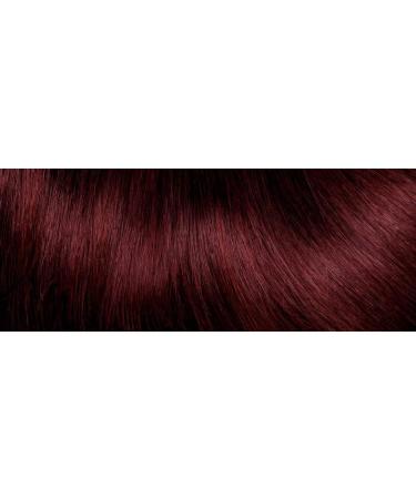 L'Or al Paris Casting Cr me Gloss 360 Cherry Black Chocolate Medium Color - Buy Online on GoSupps.com