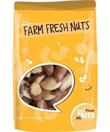 Whole Shelled  Raw Brazil Nuts (1 Lb.) - Bursting with Natural Flavors - Compares to Organic - Vegan  Keto Friendly - Super Delicious  Healthy for Snacking - Farm Fresh Nuts Brand 1 Pound (Pack of 1) - Buy Online on GoSupps.com