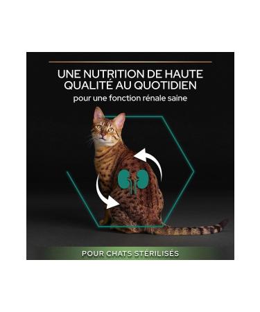 Pro Plan Sterilized Adult Cat Food Optirenal Salmon Sterilized Cat Food with Salmon Meat 1.5 Kg - Buy Online on GoSupps.com