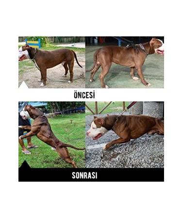 Bio PetActive Bulky Power - Muscle Builder for Dogs - Buy Online on GoSupps.com