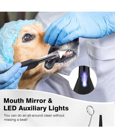 Dog Teeth Cleaning Tools with LED Light 3 Modes Dog Plaque Tartar Remover for Teeth Detachable Teeth Cleaning Kit for Dogs Cats Grey - Buy Online on GoSupps.com