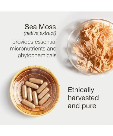 Sea Moss Capsules High Strength - Wildcrafted Irish Sea Moss Tablets - 30 Capsules One a Day - 2000mg Sea Moss Capsule - North Atlantic Seamoss Supplement - Vegan & UK Made 30 count (Pack of 1) - Buy Online on GoSupps.com