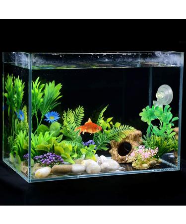 SLSON 4 Pack Fish Veggie Seaweed Suction Cup Clip Feeding Tool for Aquarium - Buy Online on GoSupps.com