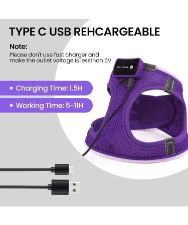 Buy PCEOTLLAR LED Dog Harness - Shining & Reflective Light-Up Harness for Small & Medium Dogs - Breathable & Charging - Purple - Buy Online on GoSupps.com