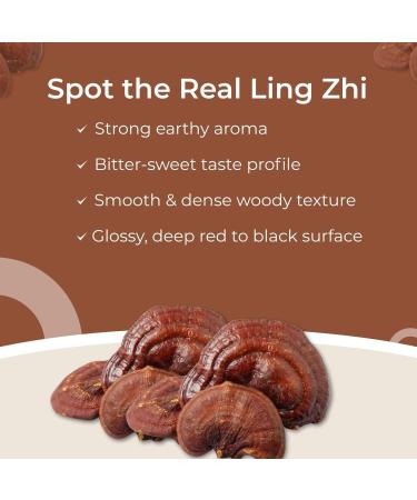 Plum Dragon Ling Zhi | Reishi Mushroom - 1lb - Buy Online on GoSupps.com