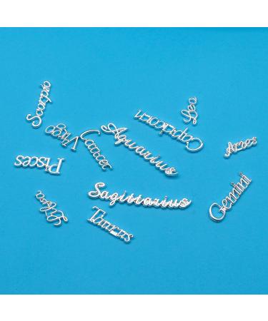 WOKOTO 24pcs Silver Zodiac Signs & Letters Nail Charms for Acrylic Nails - 3D Nail Jewelry Kit with Rhinestones for Zodiac Nail Art & Jewelry Making - Buy Online on GoSupps.com