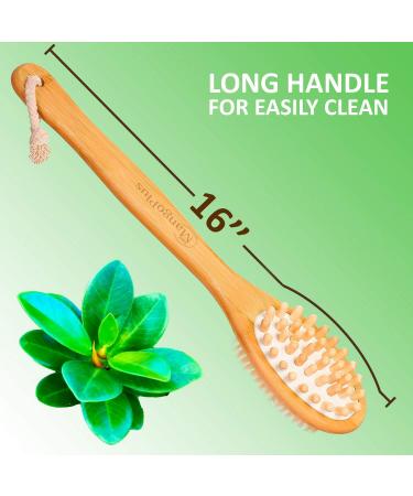 MangoPlus 16 Inch Dry Brushing Body Brush - Long Handle Back Scrubber for Shower - Exfoliating Back Bath Brush - Buy Online on GoSupps.com