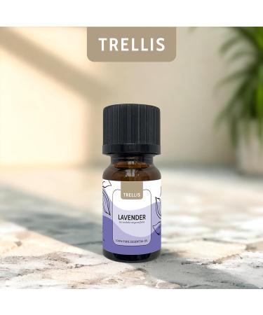 Lavender Essential Oil 10ml by Trellis | 100% Pure Aromatherapy Oil for Diffusers | Vegan & Cruelty-Free | Ethically Sourced & Bottled in the UK - Buy Online on GoSupps.com