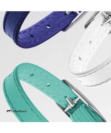 Collardirect Leather Cat Neck Band - Safe Elastic Collar with Bell for Kittens | Adjustable 23-28 cm | Available in Black Blue Red Orange Green Pink & Purple - Buy Online on GoSupps.com