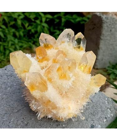 for Natural Yellow Quartz Rough Cluster Citrine Crystal Cluster Piedras decorativas para el hogar ERTEYIN (Size : 300g)