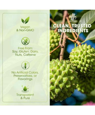 iMATCHME (2 Pack Soursop Graviola Liquid Drop for Cell Support & Regeneration, Immune System and Gut Health Support, Pure Soursop Bitters Liquid, High Absorption, Sugar/Gluten Free, Natural Flavor Original 2 Fl Oz (Pack of 2) - Buy Online on GoSupps.com