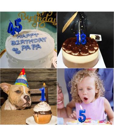 NEWCANDLE Blue 1st Birthday Candle - Roman Numeral Cool Number Candle for 1 Year Old Cake Celebration - Buy Online on GoSupps.com
