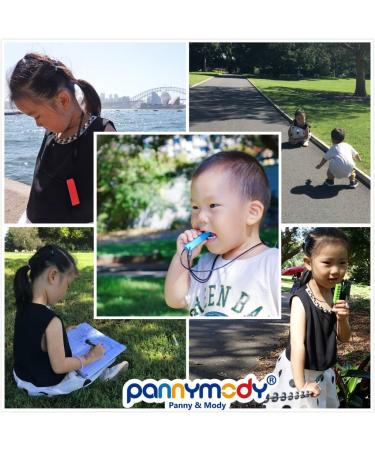 Panny & Mody Sensory Chew Necklace Set - 3 Pack Chewy Sticks for Kids with Autism, ADHD, Teething - Boys and Girls (Red Green Blue) - Buy Online on GoSupps.com