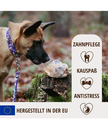 Petlove Natural Chewing Roots for Medium Dogs with Olive Oil - 100% Natural Chewing Wood & Minerals | Perfect for Healthy Chewing (301-500g) - Buy Online on GoSupps.com