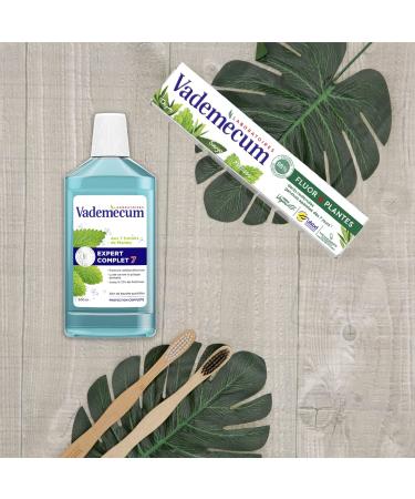 Dentifrice Fluor et Plantes | Naturel Efficace & Exp dition Internationale - Buy Online on GoSupps.com