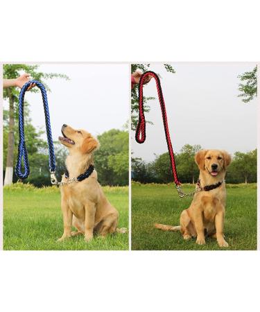 Durable Nylon Dog Collar and Leash Set | Heavy Duty Braided Training Leash for Small, Medium, Large Dogs - Purple - Buy Online on GoSupps.com