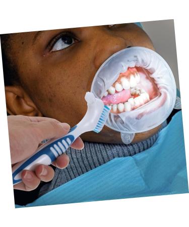 Beaupretty 20-Pack Toothbrush & Head Care Device - Essential Prosthesis Cleaning Brushes for Home Use - Buy Online on GoSupps.com