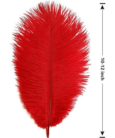 THARAHT 24pcs Red Ostrich Feathers 10-12Inch for Wedding & Party Centerpieces - Bulk Natural Feathers for Easter, Gatsby & Home Decor - Buy Online on GoSupps.com