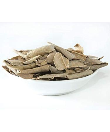 Boldo Liquid Extract 1oz - Digestive Support, Non-GMO, Vegan, Keto & Paleo Superfood - Buy Online on GoSupps.com