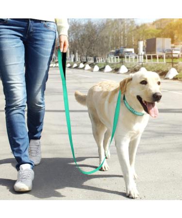 Tagme Personalized Reflective Dog Collar for Large Dogs - Embroidered Nylon with PET Name & Phone Number - Turquoise XL (1 Pack) - Buy Online on GoSupps.com