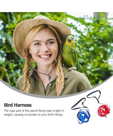 2pcs Harness Adjustable Bird Blue Leash Conure Lovely Traction Wing Training Conical with Pet for S Assorted Color - Buy Online on GoSupps.com