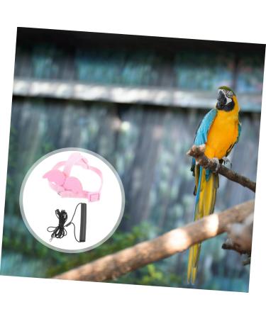 Beavorty 3 Sets Bird Leash Suspend Bird Harness Leashes -bite Training Bird Training Supplies Strap Outdoor 12X6X1.3CMx3pcs Pinkx3pcs - Buy Online on GoSupps.com
