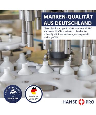 Hanse Pro Brunnen Cleaner - 4 x 1000 ml | Effective Water Care | Keeps Water Fresh & Clear | Prevents Algae Bacteria & Lime - Buy Online on GoSupps.com