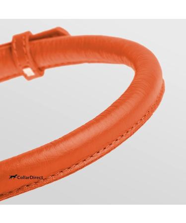 CollarDirect Handmade Round Leather Dog Collar - Soft Padded Real Leather for Dogs & Cats - Sizes 35-40 cm - Multiple Colors: Black Pink Red Purple Blue Orange - Buy Online on GoSupps.com