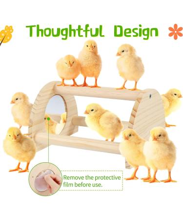 Cubolar Pine Chicken Perch with Mirror and Jungle Gym Roosting Bar | Chicken Toys for Coop and Brooder | Training Perch for Large Birds - Parrot, Macaw, Hens - Buy Online on GoSupps.com