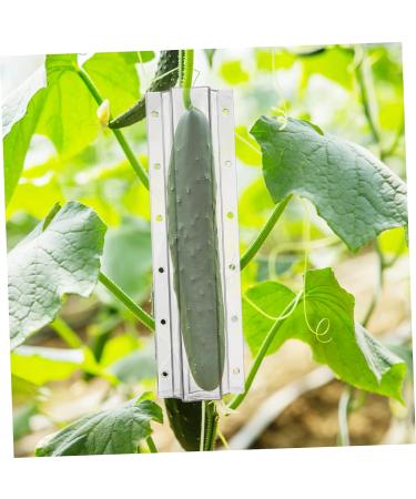 Toddmomy 16 Pcs Shaped Growth Mold Fruit Shaping Mold Star Cucumber Shaper Vegetable Shaping Mold Christmas Candy Clear Heart- Shaped Cucumber Growth Forming Star Shape Accessories Plastic As Shownx4pcs mediumx4pcs - Buy Online on GoSupps.com