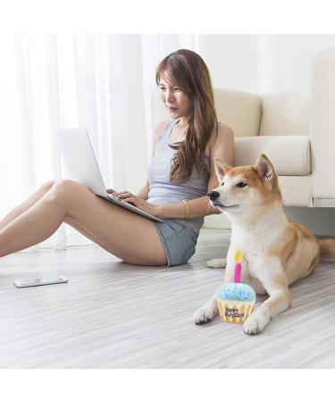 Nizirioo Plush Dog Toys - Birthday Cake & Bone Toys for Puppies | Soft & Safe Dog Birthday Gifts - Buy Online on GoSupps.com
