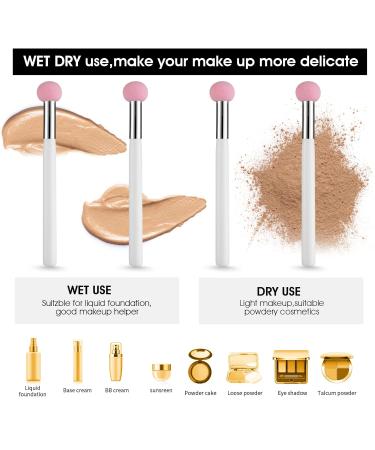 Wllhyf 4-Piece Makeup Brush & Sponge Set | Professional Foundation Concealer Liquid Eyeshadow Applicators | Beauty Blender Tool for Flawless Makeup - Buy Online on GoSupps.com