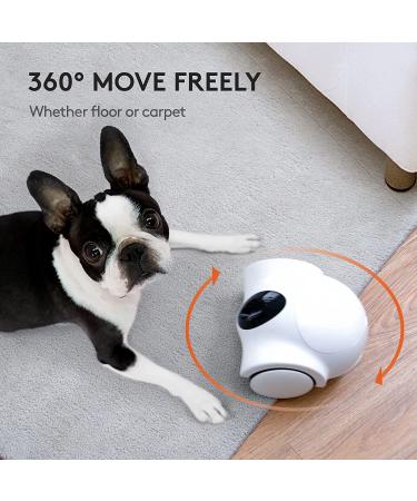 GULIGULI Smart Pet Camera: 1080P Full HD WiFi, Night Vision, 2-Way Audio, No Monthly Fee | Dog Treat Camera & Movable Companion Robot for Pets | Phone App Controlled (2.4G WiFi ONLY) - Buy Online on GoSupps.com