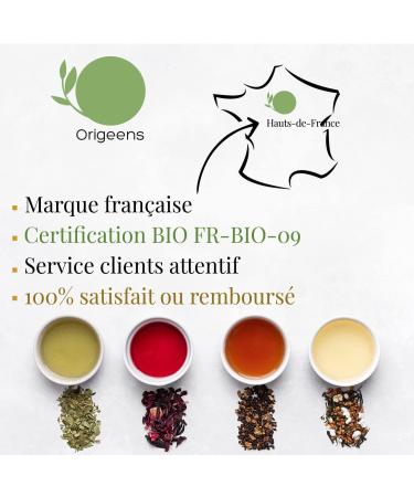  Origeens ORIGEENS Organic Tea Set Drinks of the World - Hibiscus Mate Chai Tea Genmaicha Green Tea - Tea Assortment 4x80gr - Tea Gift Set - Buy Online on GoSupps.com