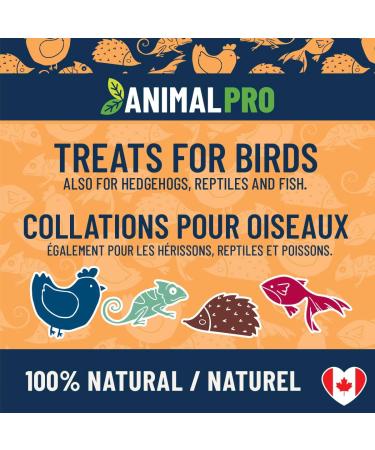 AnimalPro Black Soldier Fly 0 454 Kg (1 Lb) - Buy Online on GoSupps.com