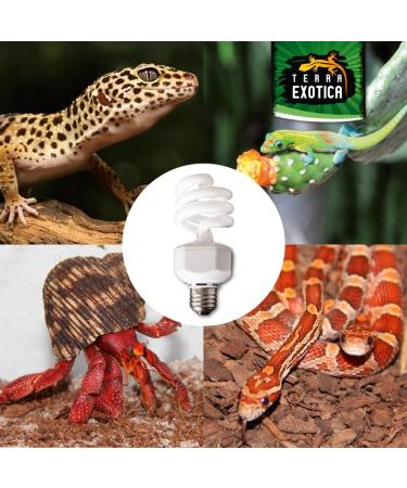 Terra Exotica Compact Daylight 2.0 UVB Lamp - 23W Energy-Saving Terrarium Light | UVB 2.0 5.0 8.0 & 10.0 Options Available - Buy Online on GoSupps.com