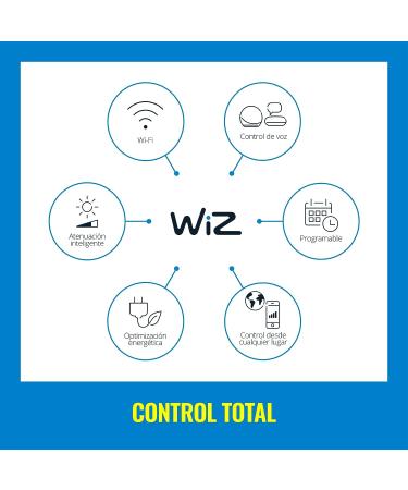 WiZ Connected Color 60W Candle B11 Smart WiFi Light Bulb  16 Million Colors  Compatible with Alexa and Google Home Assistant  No Hub Required  1 Bulb Candle Color 1 Count (Pack of 1) - Buy Online on GoSupps.com