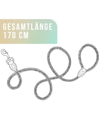 Premium 1.7m Dog Leash for Large Dogs - Durable Braided Training Rope | Sage Green - Buy Online on GoSupps.com