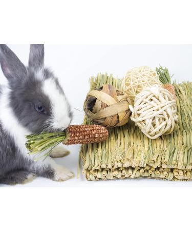 LLGLEU 2 Pcs Grass Mat for Rabbit with 4 Play Balls Pine Cone Carrot Bunny Chew Toy Natural Woven Bed Mat Molar Teeth Set for Guinea Pig Chinchilla Squirrel Hamster and Small Animal (Typ1) - Buy Online on GoSupps.com