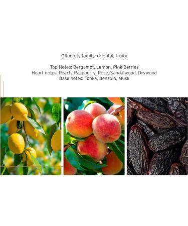 HEAD Elite Womens Fragrance Perfume Eau De Toilette EDT 100 milliliters / 3.4 ounces - Buy Online on GoSupps.com