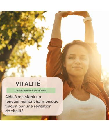  Herbes du Monde Herbes du Monde - Purple Echinacea with Cut Roots - 100 g - Buy Online on GoSupps.com