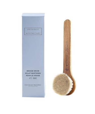 Province Apothecary Women's Daily Glow Facial Dry Brush - One Size | Achieve Radiant Skin - Buy Online on GoSupps.com
