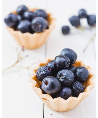 Organic Dried Chokeberry (500g) Organic Grown Whole Aronia Berries 100% Natural and Pure Ready to Eat Fruit Snack Vegan - Buy Online on GoSupps.com