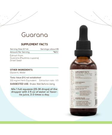 HerbEra Guarana B60 Alcohol-Free Herbal Extract Tincture, Super-Concentrated, Wildcrafted Guarana (Paullinia cupana) Dried Seed (2 fl oz) 2 Fl Oz (Pack of 1) - Buy Online on GoSupps.com