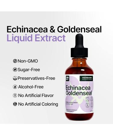Echinacea and Goldenseal 2 fl oz Liquid Extract - Natural Herbal Supplement - Immune Support Drops - Enhance Sleep | Boost Energy - High Potency - 45-Day Supply - Buy Online on GoSupps.com