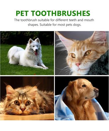 HANABASS 2 Sets Pet Toothbrush Toothbrushes Dog Toothbrush and Toothpaste Dog Toothbrushes Pp Green - Buy Online on GoSupps.com