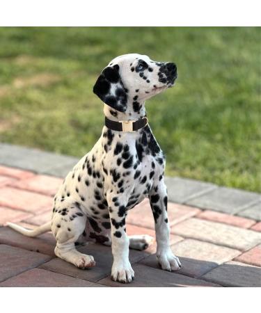 YUDOTE Ultra-Soft Cotton Dog Collar for Small Dogs with Sensitive Skin - Black S (1 Pack) - International Shipping Available - Buy Online on GoSupps.com