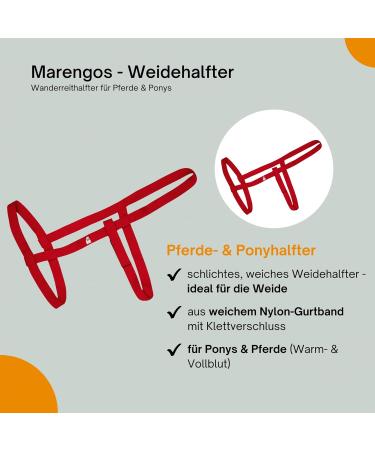 Marengos Weide Halver | Soft Handlebar Halter for Horses & Ponies | Velcro Adjustable | Perfect for Pasture Use | Red Warm Blood Size - Buy Online on GoSupps.com