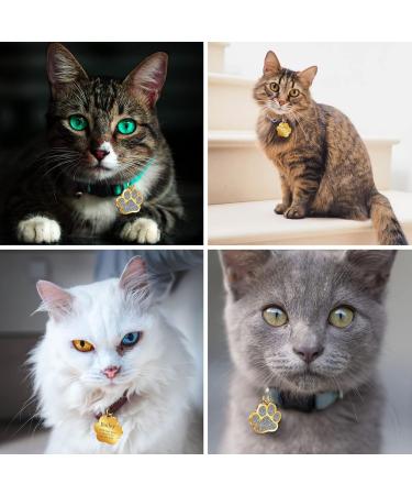 Nibana Pet ID Tags Personalized Dog Tags and Cat Tags Custom Engraved Easy to Read Cute Glitter Paw Pet Tag(Silver) - Buy Online on GoSupps.com