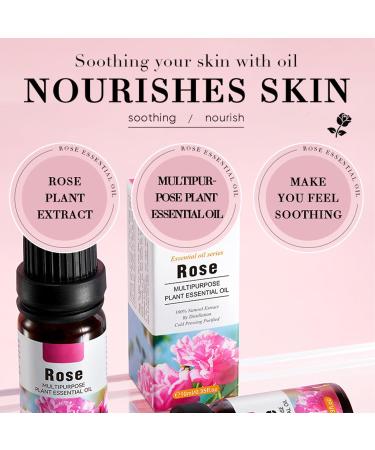 Skin Care Essential Oils Set - Lavender, Rosemary, Rose 10ml x3 - Moisturizing and Softening, Aromatherapy Oil for Skin and Home Fragrance - Buy Online on GoSupps.com